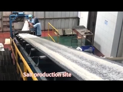 লবণ উৎপাদন লাইন
