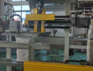 গুণমান  Dual-Lane Salt Packaging Machine Line - High-Capacity Salt Packaging Solution কারখানা