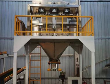 ডাবল-লেন স্যাল্ট প্যাকেজিং মেশিন লাইন - উচ্চ ক্ষমতা স্যাল্ট প্যাকেজিং সমাধান