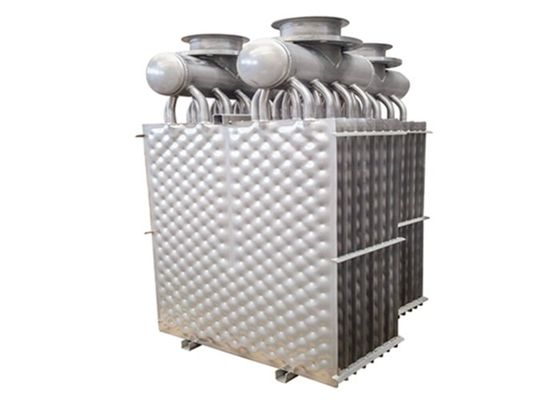 SS316L ডবল স্ফীত বালিশ প্লেট তাপ এক্সচেঞ্জার